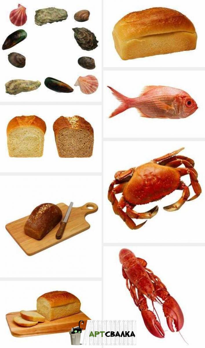 Хлеб и морепродукты на белом фоне | Bread and seafood on white background